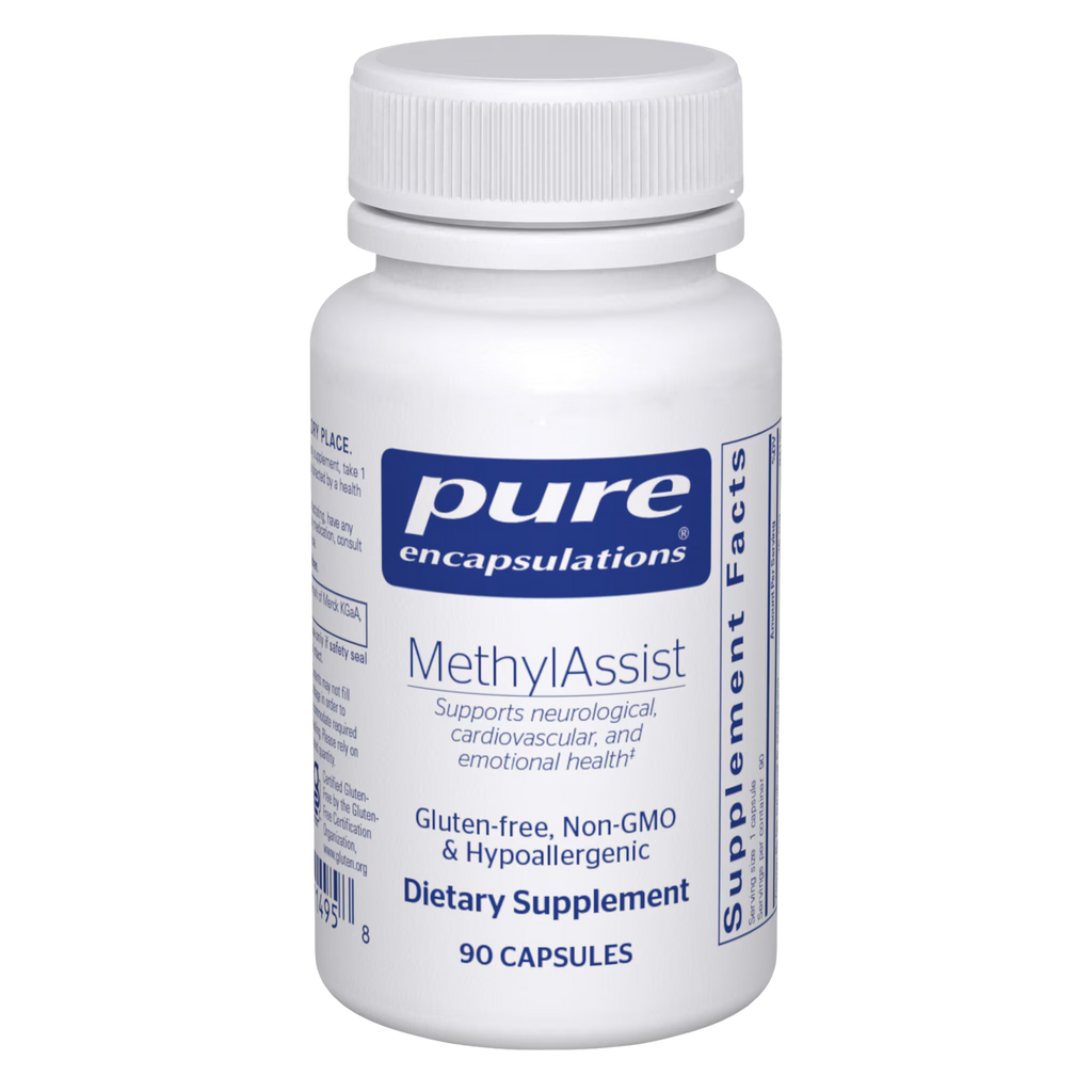 MethylAssist